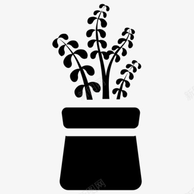 玉植物幸运植物多汁植物图标图标