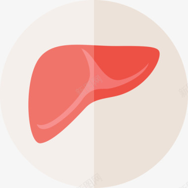 肝脏医学人体图标图标