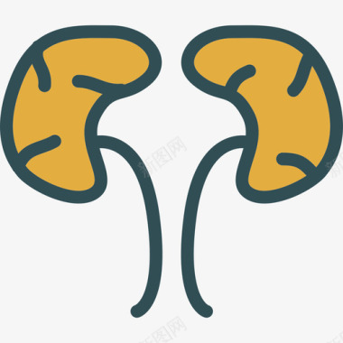 肾脏日肾脏医学9线性颜色图标图标