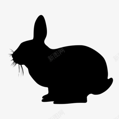 兔子哺乳动物宠物图标图标