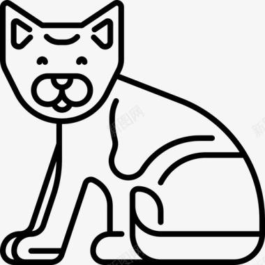 猫动物21直系图标图标