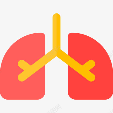 肺部5号医院平坦图标图标