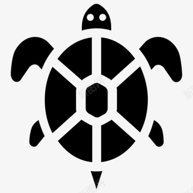 爬行动物海龟动物爬行动物图标图标