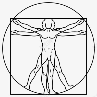 黄金分割人体解剖学达芬奇人体工程学人体解剖学图标图标