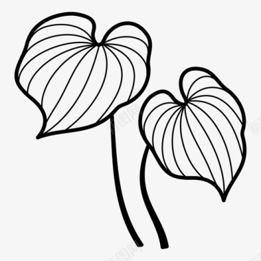 蓬莱香蕉怪兽飞龙属植物图标图标