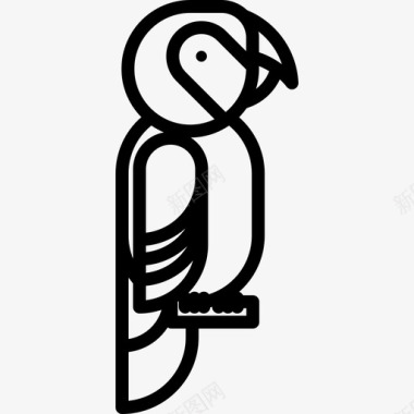 金刚鹦鹉动物5直系图标图标