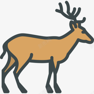 鹿森林动物3线形颜色图标图标