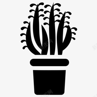 苔藓室内植物和花卉雕文图标图标