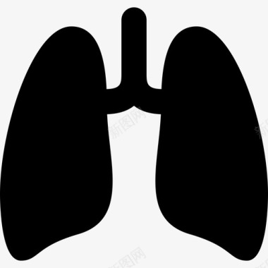 鸡肺肺医用13固体图标图标