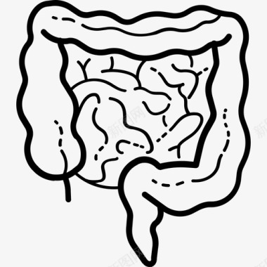 肠人体解剖学手工制作图标图标