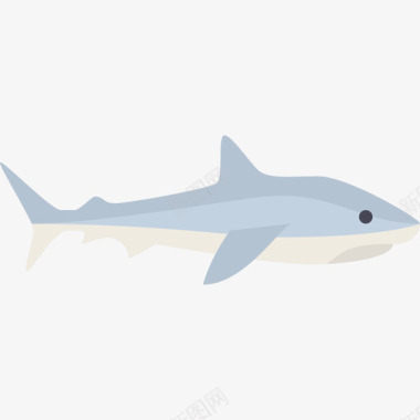 鲨鱼动物19扁平图标图标