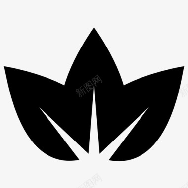 莲花印度莲花神圣的莲花图标图标