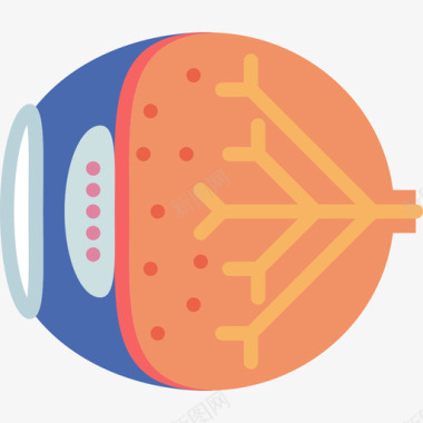 医学插图眼睛医学断言扁平图标图标