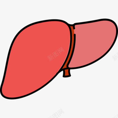 人体肝脏肝脏医用14颜色128px图标图标