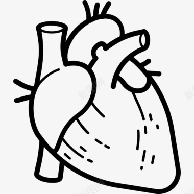手工羊毛心脏人体解剖手工绘制图标图标