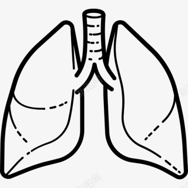 生物人体肺人体解剖手工绘制图标图标