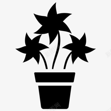 志贺米室内植物室内植物和花卉雕文图标图标