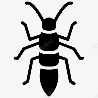 鐭虫煴蚱蜢蝗虫灌木丛蟋蟀图标图标