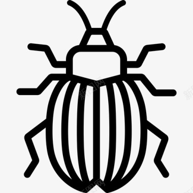 虫子科罗拉多甲虫虫子土豆图标图标