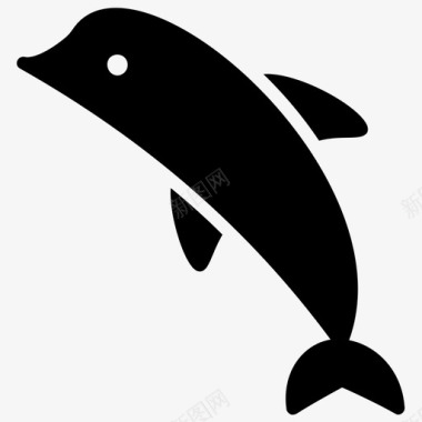 贝类海豚海洋动物卡通海豚图标图标