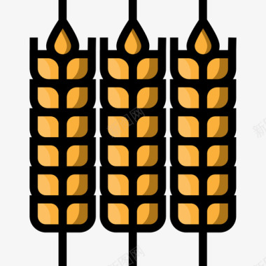 生态芋头小麦生态学23线性颜色图标图标