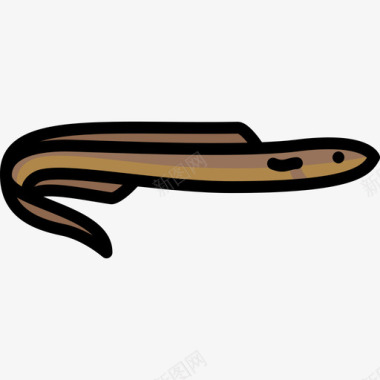 海鳗动物25线形颜色图标图标