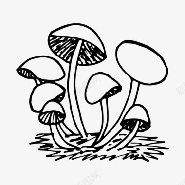 蘑菇森林蜂蜜木耳图标图标