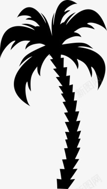 棕榈树树木图标图标