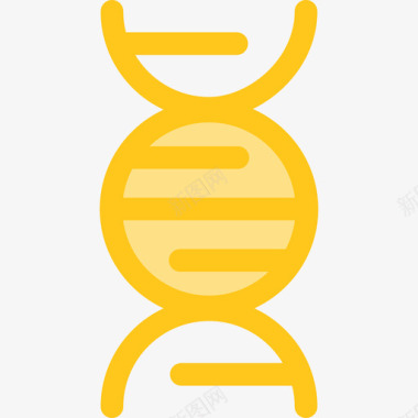 Dna健康和医学8黄色图标图标