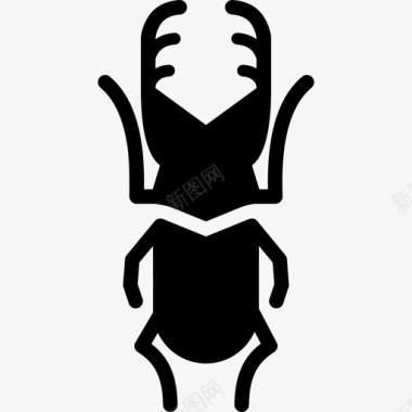 鹿鹿甲虫黄金昆虫图标图标
