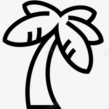 棕榈树椰枣树棕榈海滩图标图标