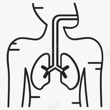呼吸系统解剖学肺图标图标
