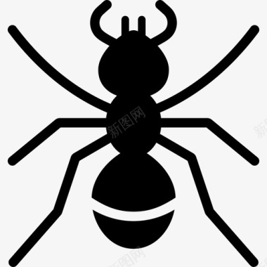 公牛蚂蚁黑色公牛图标图标