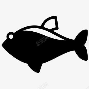 虎鱼野生海洋动物水龙鱼图标图标