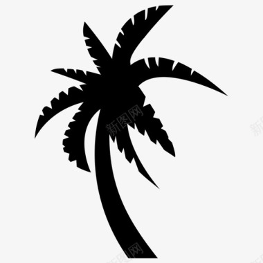 椰子树棕榈树椰子树椰子树实心图标图标