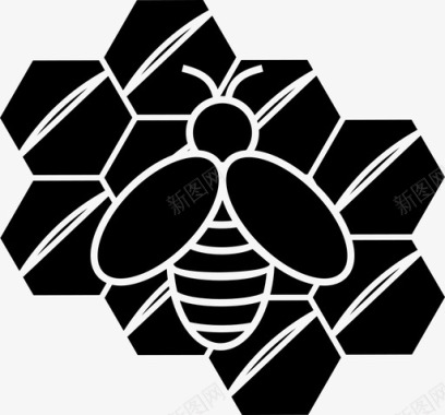 蜂蜜蜜蜂食物图标图标