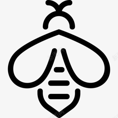 蜜蜂自然5直系图标图标