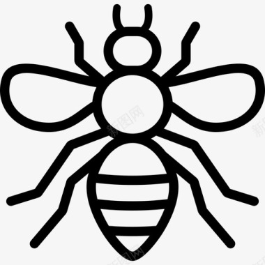 枇杷蜂蜜蜜蜂蜂蜜昆虫图标图标