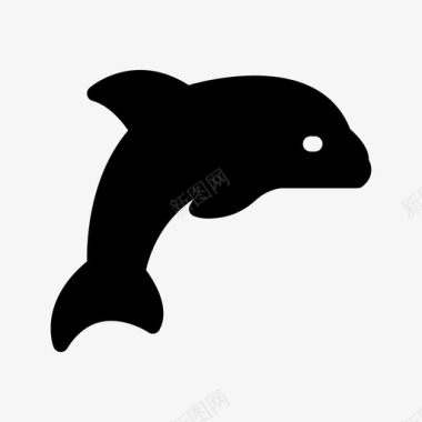 海豚海豚海洋大海图标图标