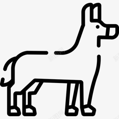 驴动物28直系图标图标
