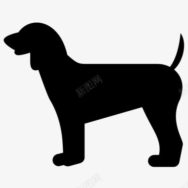 猎犬枪犬宠物动物图标图标