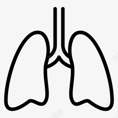 肾脏器官肺解剖学生物学图标图标