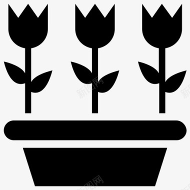 还未开花的盆栽盆栽郁金香装饰植物开花植物图标图标