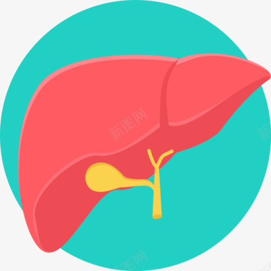 icon图片肝脏医用33扁平图标图标