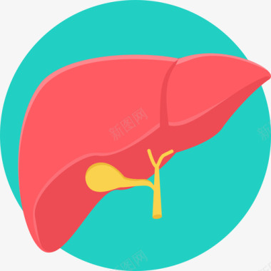 电脑小标志肝脏医用33扁平图标图标