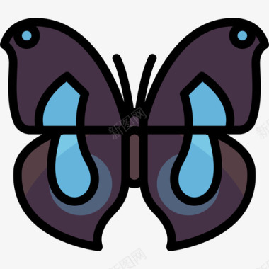 彩色蝴蝶3图标图标