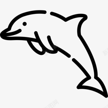 动物海豚动物园3直线型图标图标