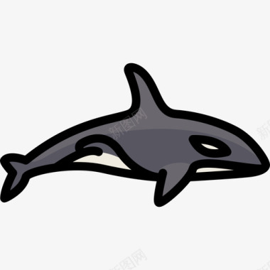 虎鲸动物25线形颜色图标图标