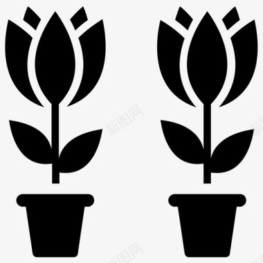 郁金香装饰植物开花植物图标图标