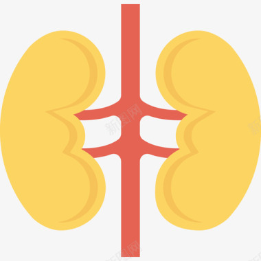 肾脏器官肾脏医疗保健2平坦图标图标